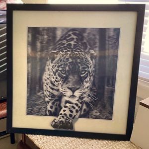 3D Holographic Leopard Picture